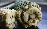 Loại cây cảnh rất độc nhưng có quả ăn cực ngon sau khi chín