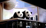 Độc đáo công nghệ “lao ra khỏi màn hình” siêu thực khiến nhiều người thót tim