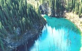 Rừng cây mọc ngược, đẹp như tranh vẽ trong truyện cổ tích