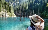 Rừng cây mọc ngược, đẹp như tranh vẽ trong truyện cổ tích