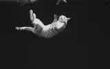 Lý giải khả năng 