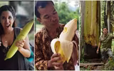 Vùng đất của những cây chuối khổng lồ