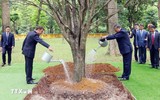 Tổng Bí thư Tô Lâm và Tổng thống Pháp thăm Khu di tích Chủ tịch Hồ Chí Minh 