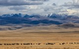 Tìm thấy “Vạn Lý Trường Thành thứ 2” dài 4000 km