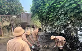 Tuổi trẻ Cảnh sát giao thông Hà Nội xung kích hỗ trợ người dân vùng ngập