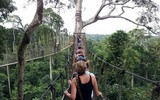 Những cây cầu đáng sợ và thu hút nhất thế giới hiện nay
