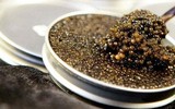  Những thức ăn quý hiếm và đắt nhất thế giới