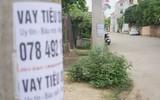 Đông Anh: Quảng cáo rác tràn lan trên cột điện 