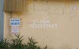 Đông Anh: Quảng cáo rác tràn lan trên cột điện 