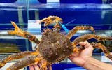 Những loại cua đắt nhất thế giới