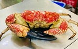 Những loại cua đắt nhất thế giới
