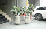 Bị đình chỉ do vi phạm PCCC, nhiều cơ sở vẫn ngang nhiên hoạt động
