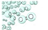 Những cuộc đại tuyệt chủng đáng sợ nhất trong lịch sử trái đất