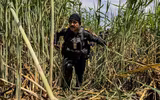 [ẢNH] Iraq tung lực lượng đặc nhiệm ráo riết truy lùng phiến quân IS