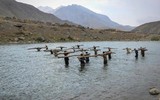 [ẢNH] Quyết chiến tại Panjshir, Taliban và lực lượng phản kháng đều tổn thất nặng