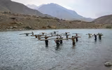 [ẢNH] Quyết chiến tại Panjshir, Taliban và lực lượng phản kháng đều tổn thất nặng