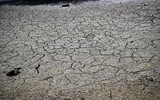 Người dân ‘quay cuồng’ với nhiệt độ cao chưa từng có trong lịch sử nước Anh