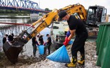 Bí ẩn vụ cá chết trắng sông ở biên giới Đức - Ba Lan