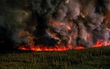 Cháy rừng dữ dội ở Canada khiến khói bụi bao trùm nước Mỹ 