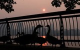 Cháy rừng dữ dội ở Canada khiến khói bụi bao trùm nước Mỹ 