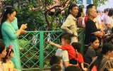 Muôn vàn cảm xúc của trẻ nhỏ trong ngày khai giảng năm học mới