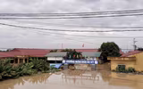 Chương trình 