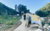 Chương trình 