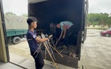 Tiêu hủy hàng nghìn súng, đạn và vũ khí tự chế nguy hiểm trong 2 ngày