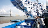 Gạo Việt Nam đứng đầu nhiều khu vực tại thị trường Philippines