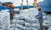 Xuất khẩu gạo tăng mạnh về lượng và giá