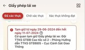 Mới: Chủ xe có thể dùng bản giấy thay thế khi bằng lái xe đã bị tước/tạm giữ trên VNeID?