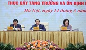 Tín dụng tăng trưởng âm, Thủ tướng đặt nhiều câu hỏi cho các ngân hàng thương mại