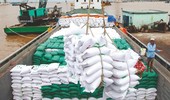 Nhu cầu nhập khẩu gạo thế giới tăng cao, Việt Nam không đủ đáp ứng