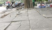 Hà Nội yêu cầu đánh giá tình trạng hư hỏng, xuống cấp của vỉa hè lát đá