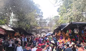 Hàng vạn du khách nô nức trẩy hội chùa Hương