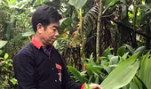 Ba Vì: Người "giữ lửa" nơi bản Dao Yên Sơn