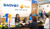 BAOVIET Bank khai trương chi nhánh đầu tiên tại Quảng Ninh