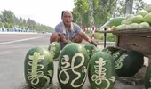 "Hốt bạc" nhờ khắc chữ thư pháp trên dưa hấu