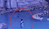 Video mẹ mải xem điện thoại, không biết con chết đuối ở bể bơi