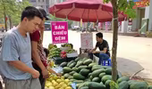 Ngỡ ngàng vì hoa quả được mùa, giá vẫn cao