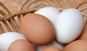 Trứng màu nâu tốt hơn trứng trắng?