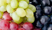Ăn nho giảm nguy cơ mù lòa
