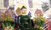  Cung nghinh tượng Phật ngọc Hòa bình 