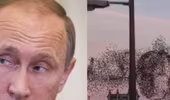 Kì lạ đàn chim xếp hình Tổng thống Putin ở New York?