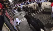 Tây Ban Nha: 7 người bị bò tót húc chết tại các lễ hội
