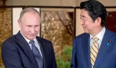 Rượu sake Tổng thống Putin uống "cháy hàng" tại Nhật Bản