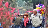 Rộn ràng sắc đào, chợ hoa Hàng Lược
