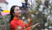 Chợ hoa Hàng Lược vào xuân