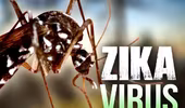 Chưa có thông tin chi tiết về người phụ nữ Việt Nam nhiễm Zika tại Nhật Bản