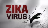 Mỹ thử nghiệm vaccine phòng virus Zika trên người